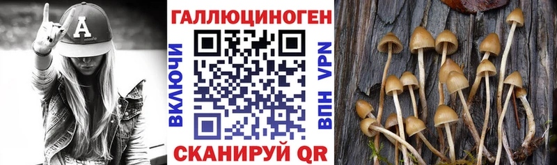 гидра зеркало  где продают   Куртамыш  Галлюциногенные грибы мухоморы 